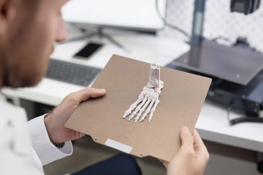 Healthcare professional holding a 3D model of a foot skeleton.